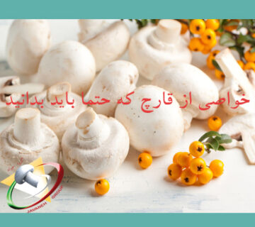 برخی از خواص مهم قارچ که باید بدانید