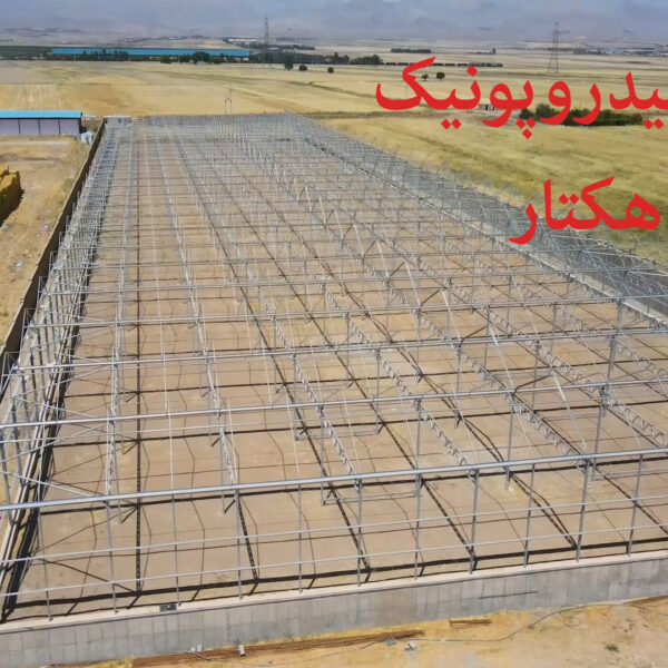 GreenHouse Javaneh Group Poster