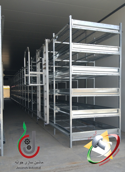 Mushroom Growing Shelf Poster