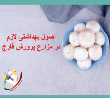 اصول بهداشتی لازم در مزارع پرورش قارچ